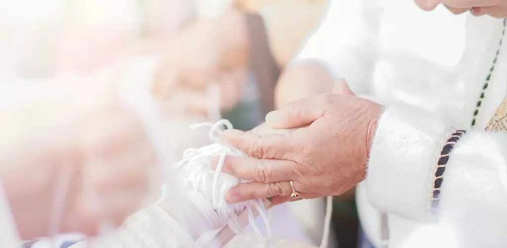 เวียงแหงออแกไนซ์