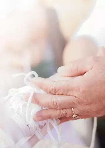 เวียงแหงออแกไนซ์